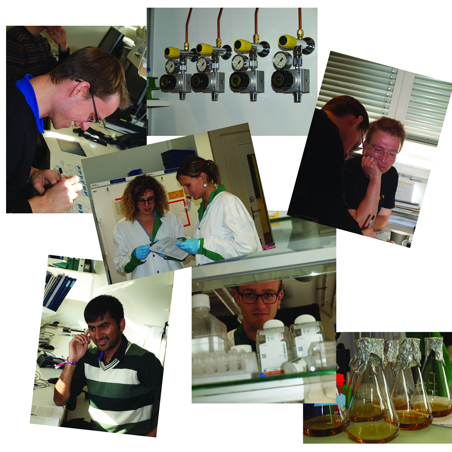 Enlarged view: Lab collage